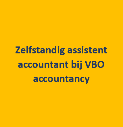 Zelfstandig assistent accountant