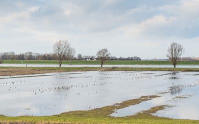 Subsidieregeling overstromingsschade 2021