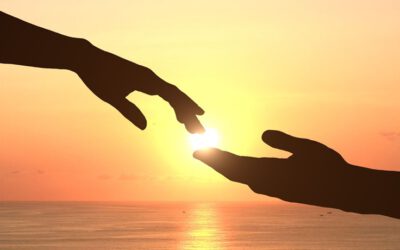 Consulente relatiebureau geen ondernemer